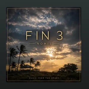 FIN 3