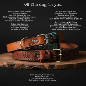 106 The dog in you