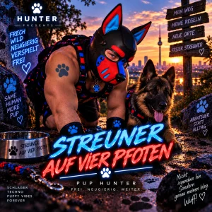Streuner auf vier Pfoten